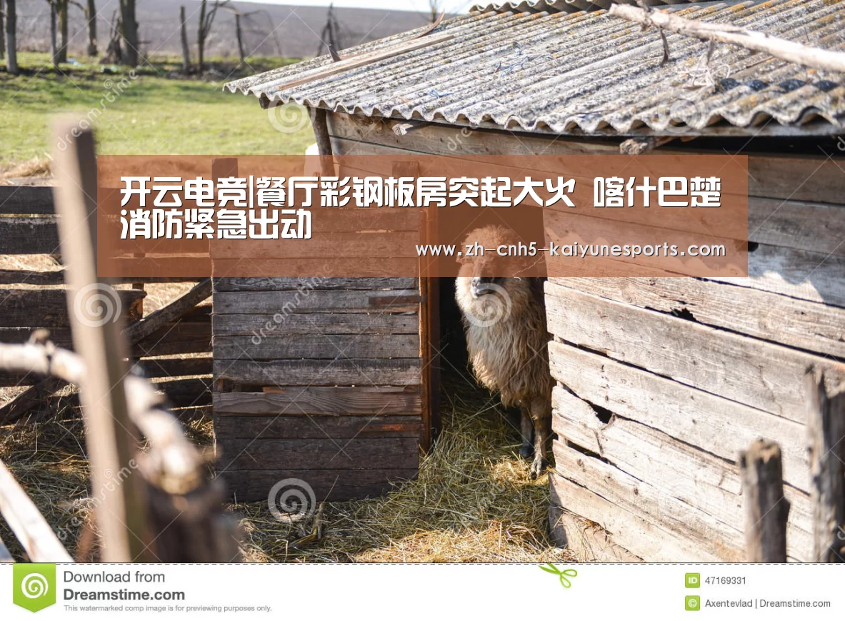  电竞官网