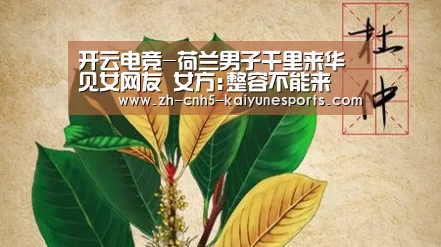 开云电竞-荷兰男子千里来华见女网友 女方:整容不能来(图1) 电竞官网